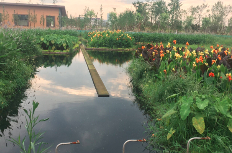 自調節(jié)循環(huán)凈化平臺水質凈化的原理