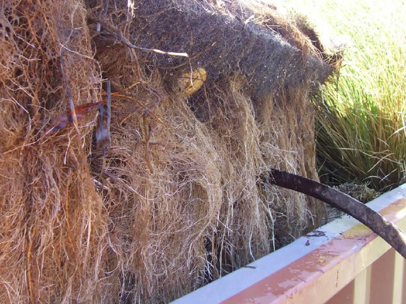 百奧源®浮動(dòng)濕地根系發(fā)達(dá)，密度大大高于人工濕地