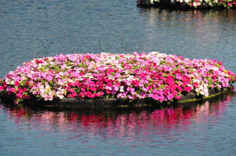 高分子纖維浮動濕地 高分子纖維浮動濕地